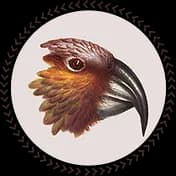 The Kākā