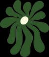 Flora Flora logo