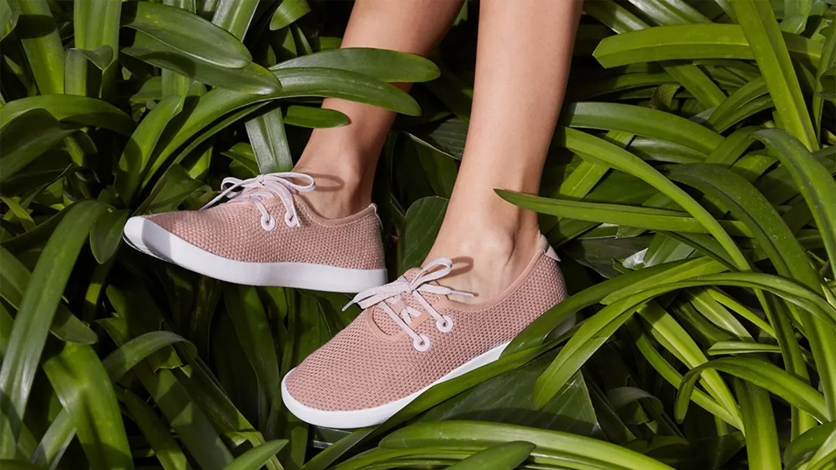 Allbirds: The Kiwi Wool Shoe That Took On the World