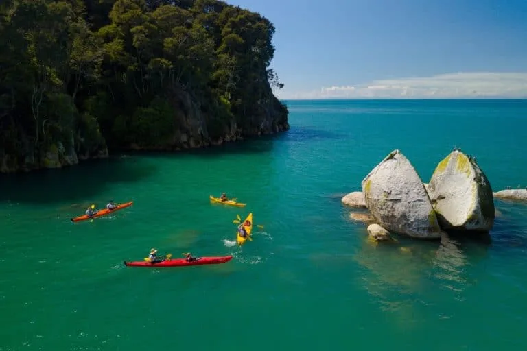 Nelson Tasman